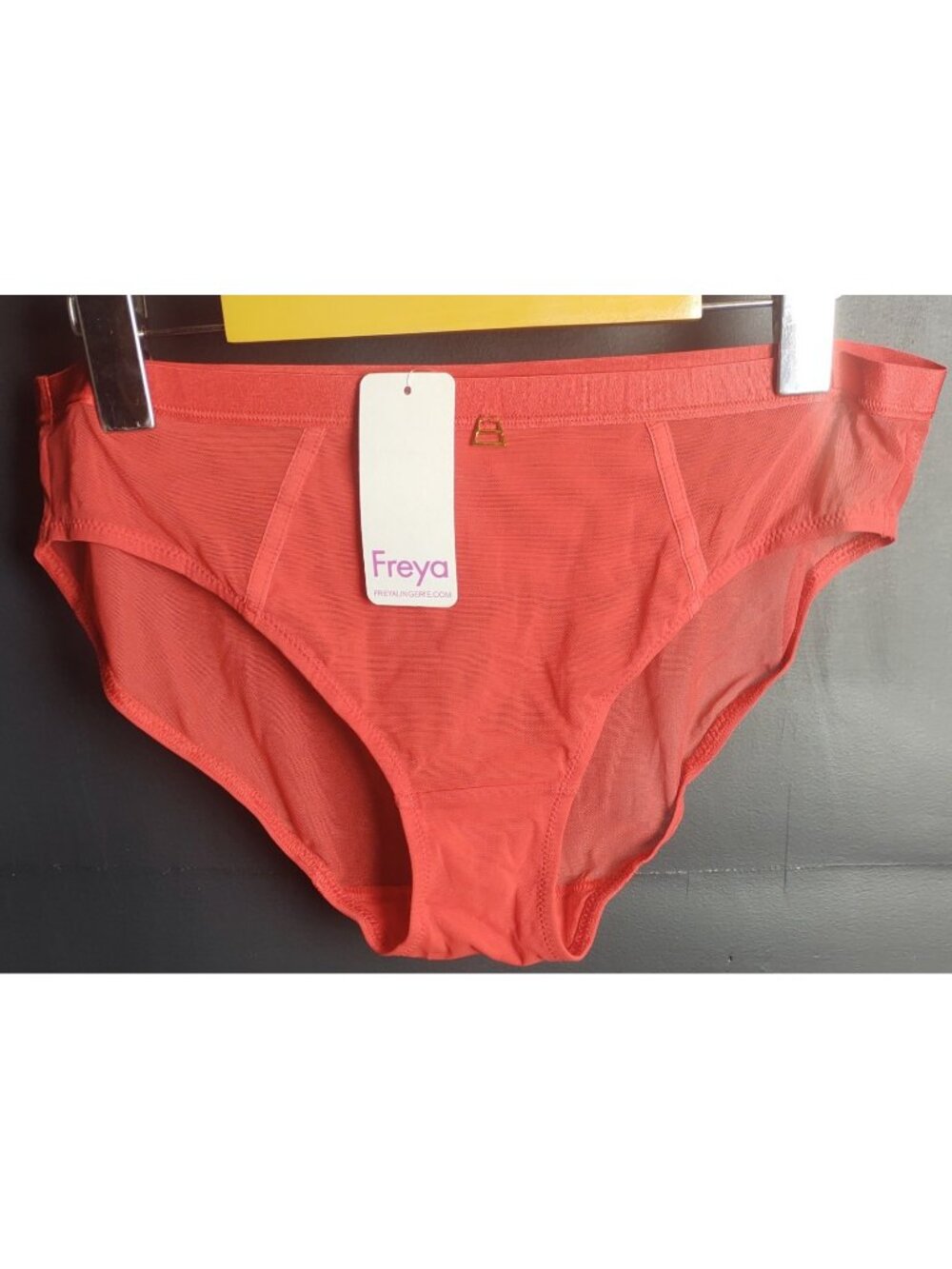 Freya Lingerie Snapshot Coral Red Mesh Bikini Brief Panties NWT Size L